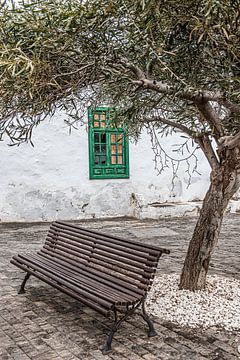 Bankje onder een boom in Teguise op het Canarische eiland Lanzarote