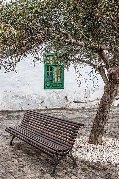 Bank unter einem Baum in Teguise auf der Kanarischen Insel Lanzarote von Harrie Muis