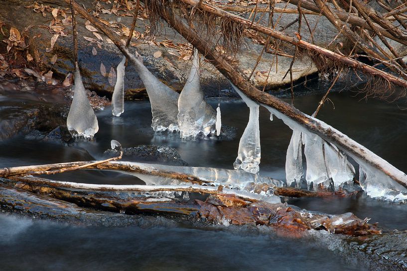 La rivière de glace par Cornelis (Cees) Cornelissen