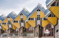House Cube in Rotterdam, Netherlands by Lorena Cirstea thumbnail