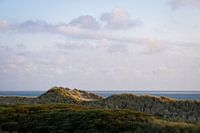 Dünen auf Ameland