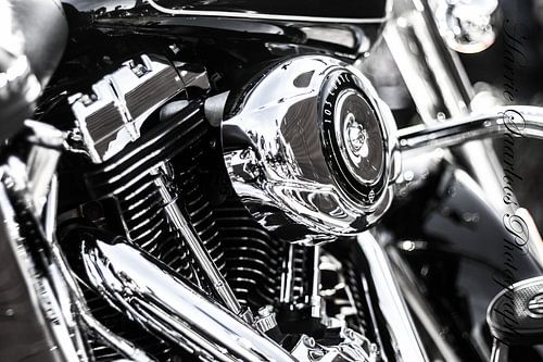 Harley Davidson