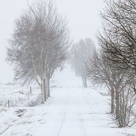Paysage d'hiver hollandais #5 sur Mark Bolijn