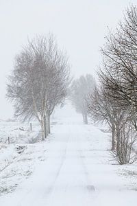 Niederländische Winterlandschaft #5