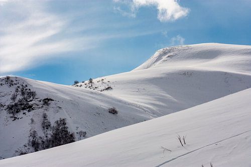 Bergflank in de Oostenrijkse Alpen