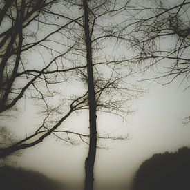 Mistig  sur Dagaz Rodedame   Versier je muren op een originele manie