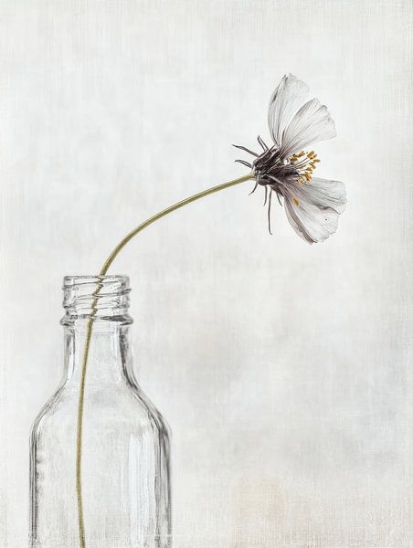 Still life in Japandi style by Japandi Art Studio