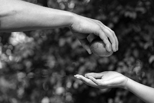 adam and eve the forbidden fruit1