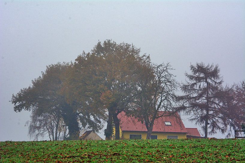 Matin brumeux 3 par Edgar Schermaul