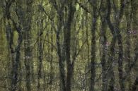Trees with yellow background as a digital painting by Digitale Schilderijen thumbnail