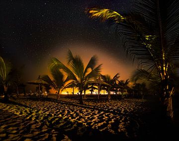 Under stars and palm trees by Raphotography