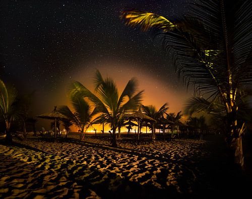 Unter Sternen und Palmen