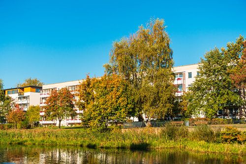 Herbstlich gefärbte Bäume mit blauen Himmel