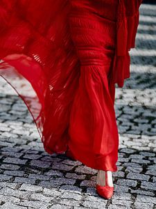 Das rote Kleid von David Potter