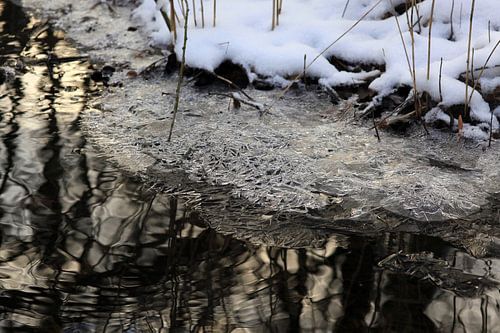 On the banks of the stream in winter