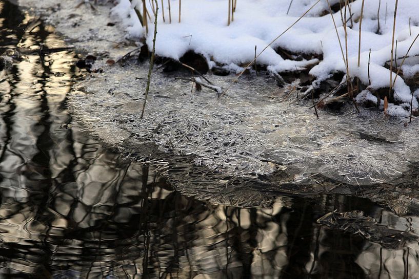 On the banks of the stream in winter by Thomas Jäger