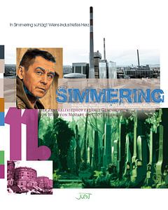 11. Simmering