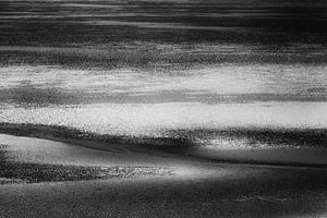 Lines in black and white 2