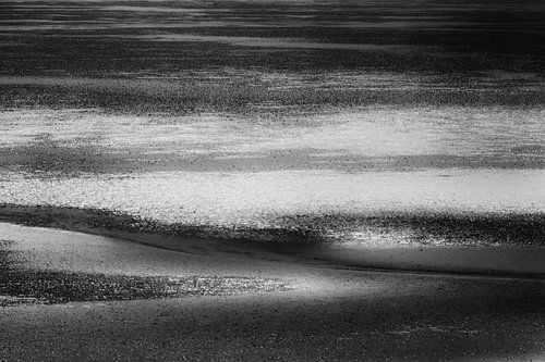 Lines in black and white 2