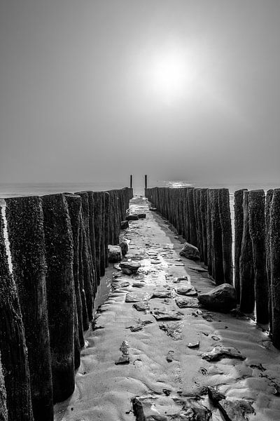 Wellenbrecher am strand in Zeeland von Wout Kok