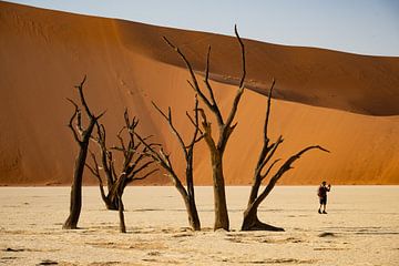 Sossusvlei zandduinen in de woestijn van Namibië van Henk Derks