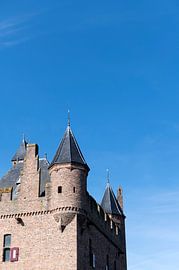 Doornenburg castle by Richard Wareham