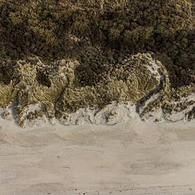 Burg-Haamstede van Joanke Fotografie