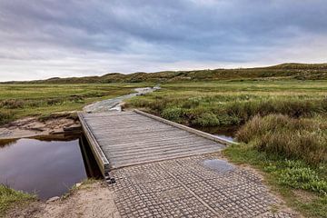 Natuurgebied de Slufter op Texel van Rob Boon