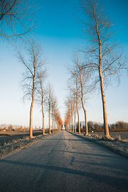 Noord-beveland landschap