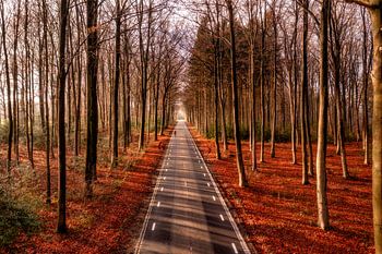Dronefoto van een eenzame fietser op de Schweiberg
