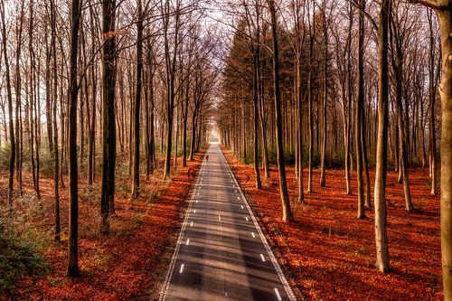 Drohnenaufnahme eines einsamen Radfahrers auf dem Schweiberg