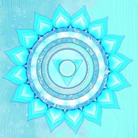 Kehlchakra, Vishudda