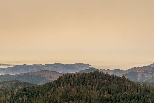 Op verkenning in het mooie Zwarte Woud bij Oppenau