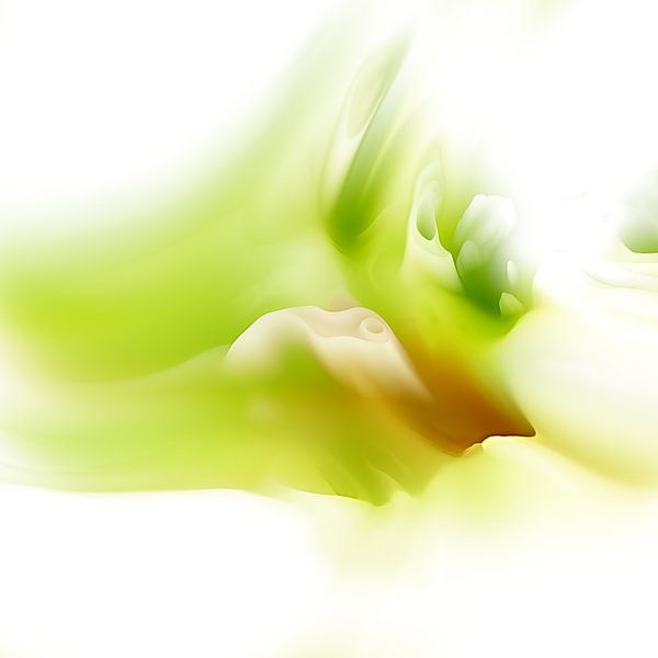 Wonnemonat Mai von Andreas Wemmje