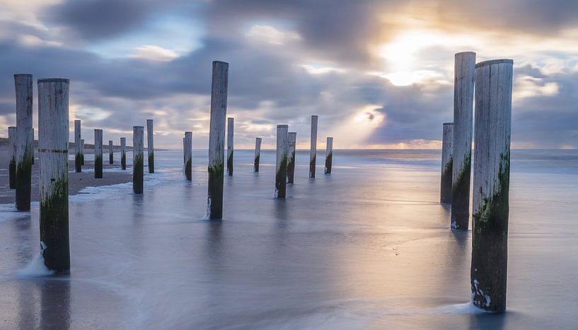 Palmendorf Petten bei Sonnenuntergang. von Menno Schaefer