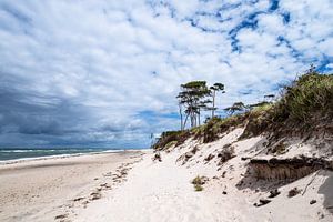 Der Weststrand auf dem Fischland-Darß