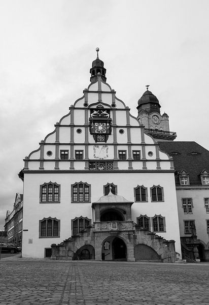 View of the town hall with market in Plauen, Vogtland Saxony Black and white photography by Animaflora PicsStock