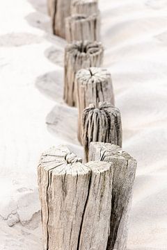 Brise-lames sur la plage - Domburg - Zealand (NL)