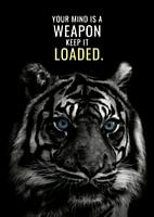 Motivation de l'animal tigre