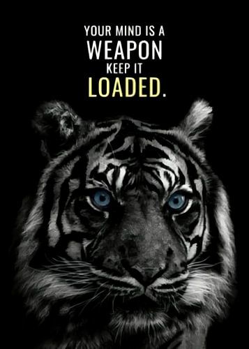 Tijger Diermotivatie