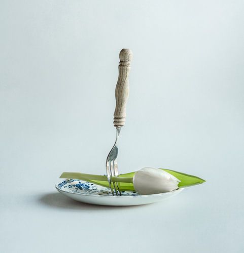 Dinner time!    Witte tulp