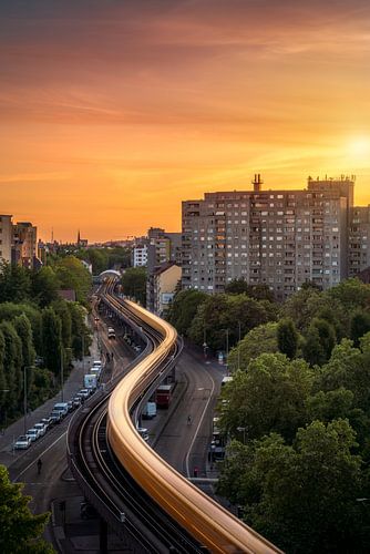 Berlin snake by Iman Azizi