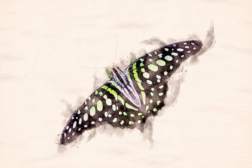 Graphium agamemnon Schmetterling (Aquarellbearbeitung) von Gig-Pic by Sander van den Berg