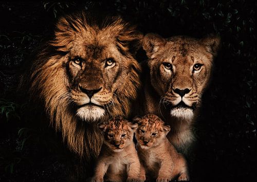 Löwenfamilie mit 2 Jungtieren von Bert Hooijer