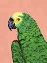 Papageikopf., Pamela Munger von Wild Apple Miniaturansicht