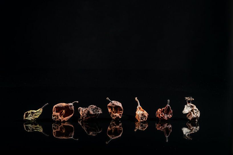 Peers forever by Gerry van Roosmalen