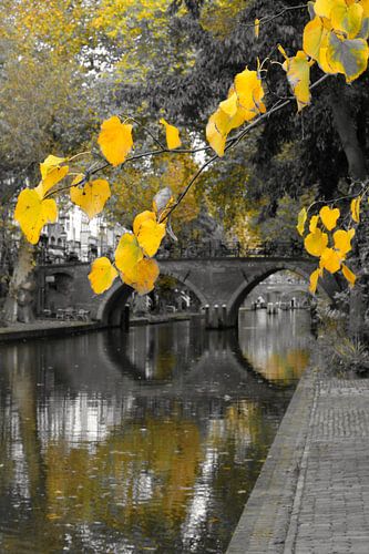 Autumn on the Oudegracht