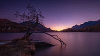 Coucher de soleil sur le lac Sils