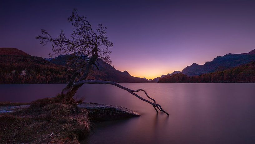 Sunset at the Silsersee by Thomas Rieger