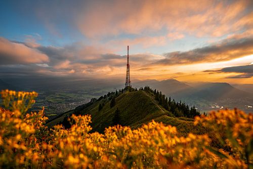 Bloemrijke zonsondergang op de Grünten